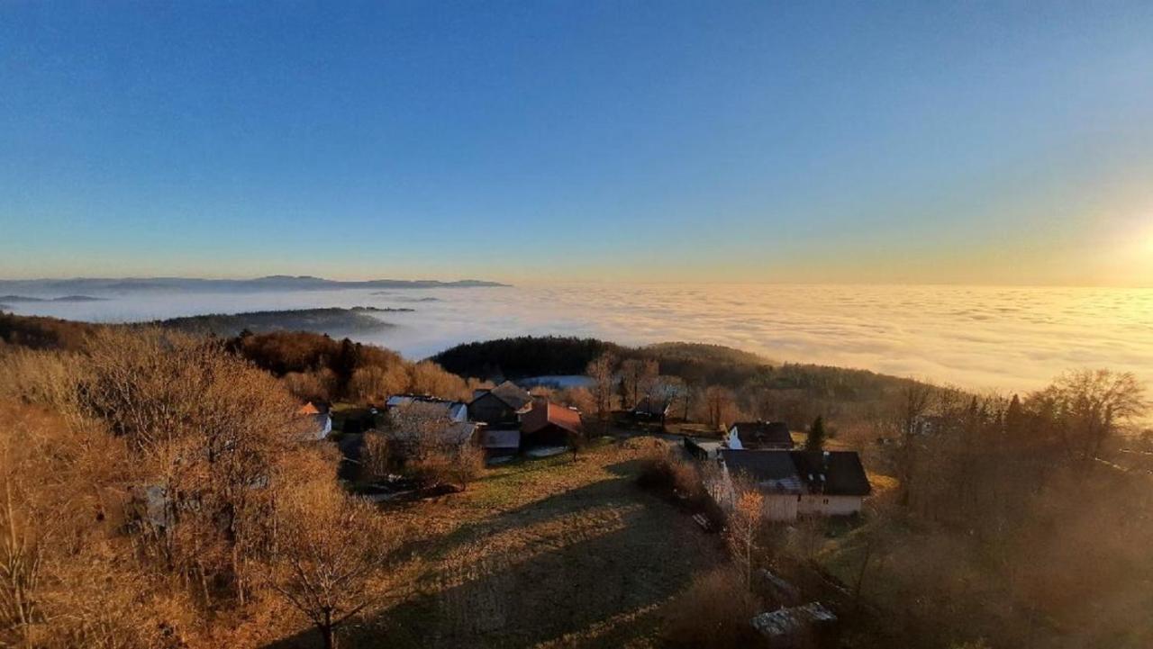 Traumblick Bayerischer Wald, Pool&Sauna, Getränke, Klimaanlage Freyung Exterior foto