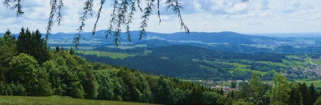 Traumblick Bayerischer Wald, Pool&Sauna, Getränke, Klimaanlage Freyung Exterior foto