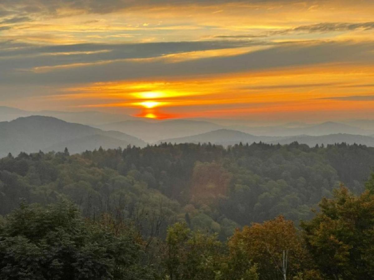 Traumblick Bayerischer Wald, Pool&Sauna, Getränke, Klimaanlage Freyung Exterior foto