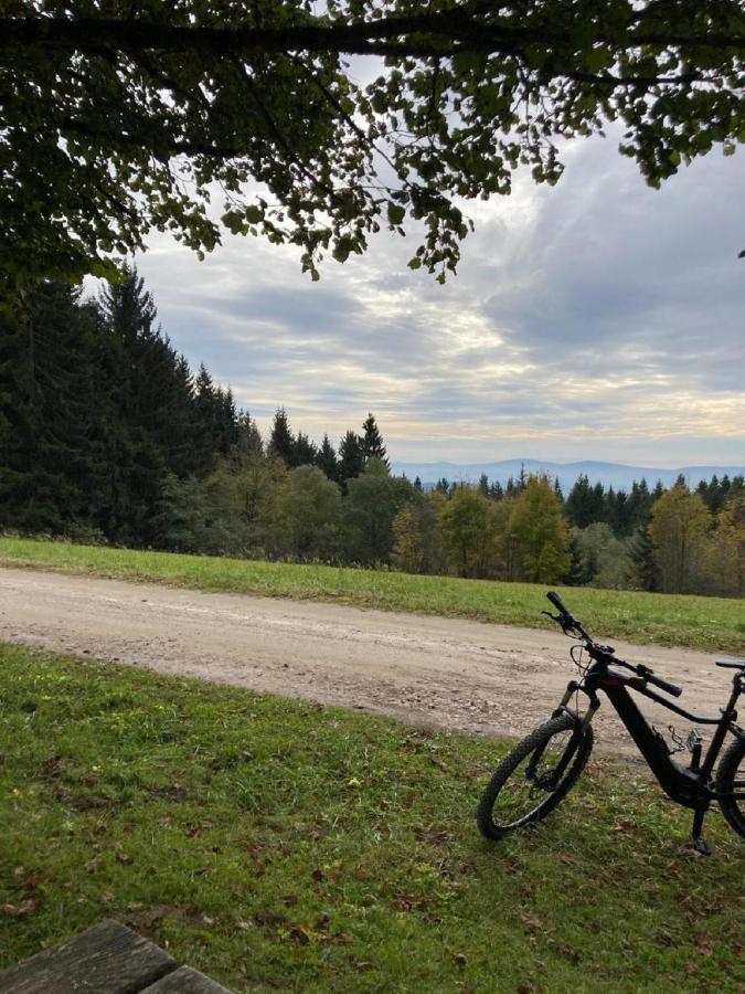 Traumblick Bayerischer Wald, Pool&Sauna, Getränke, Klimaanlage Freyung Exterior foto