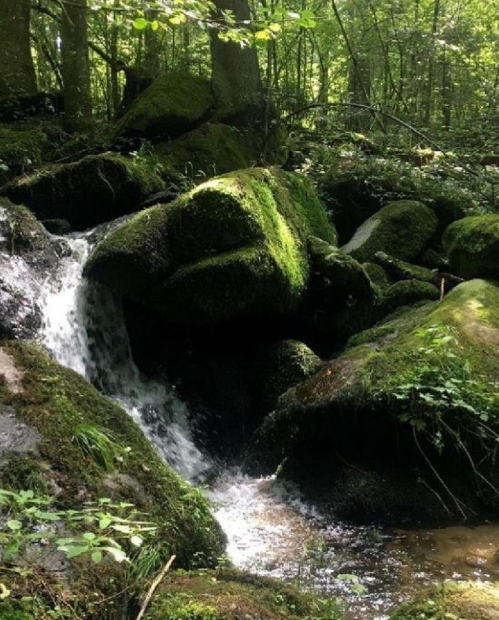 Traumblick Bayerischer Wald, Pool&Sauna, Getränke, Klimaanlage Freyung Exterior foto