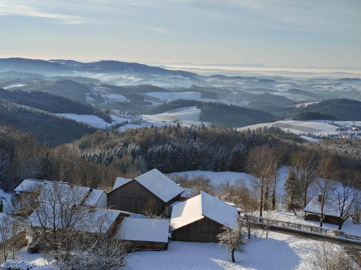 Traumblick Bayerischer Wald, Pool&Sauna, Getränke, Klimaanlage Freyung Exterior foto