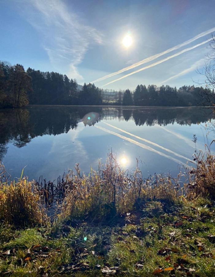 Traumblick Bayerischer Wald, Pool&Sauna, Getränke, Klimaanlage Freyung Exterior foto