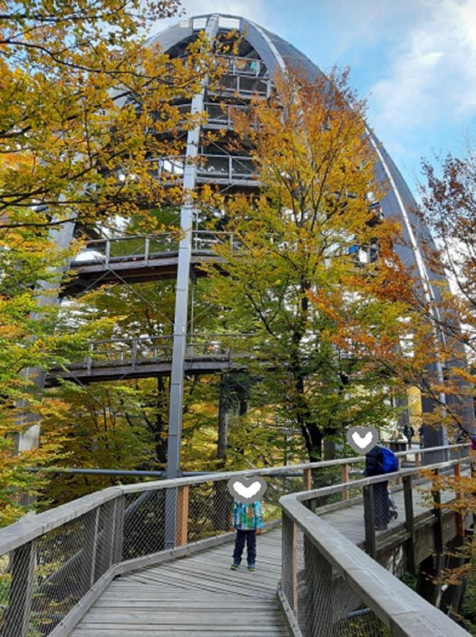 Traumblick Bayerischer Wald, Pool&Sauna, Getränke, Klimaanlage Freyung Exterior foto