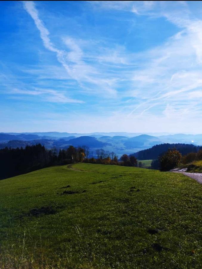 Traumblick Bayerischer Wald, Pool&Sauna, Getränke, Klimaanlage Freyung Exterior foto